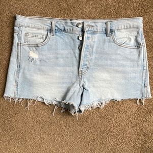 NEW! Carly Jean Los Angeles Denim Shorts CJLA